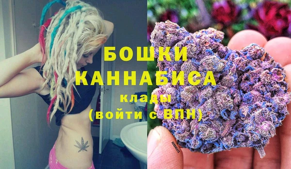 дмт Богородск