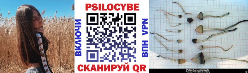 ОМГ ОМГ онион  Вуктыл  Галлюциногенные грибы Magic Shrooms 